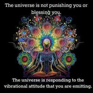 Meet your Posher, Felicia